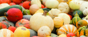 A pile of different types of vegetables including squash.