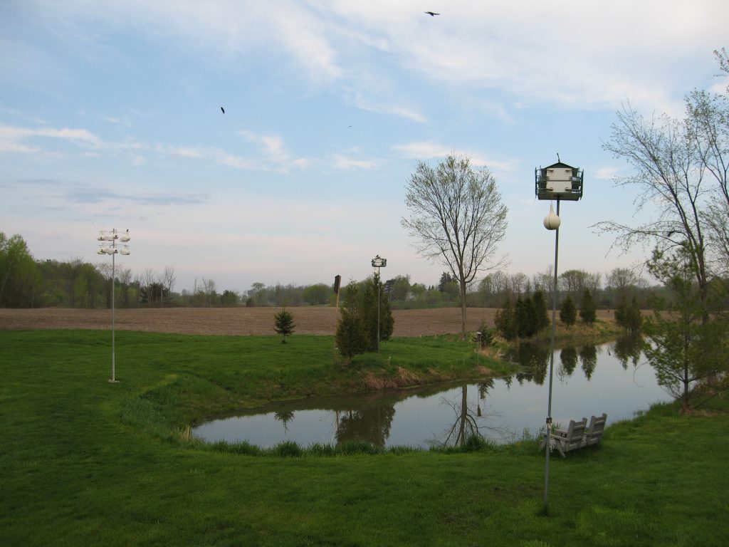 A pond with water in it and trees around.