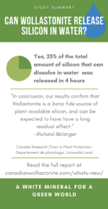 Infographic on wollastonite's silicon release in water.