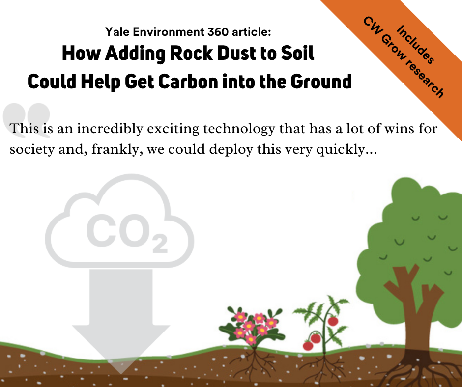 Rock dust to soil.