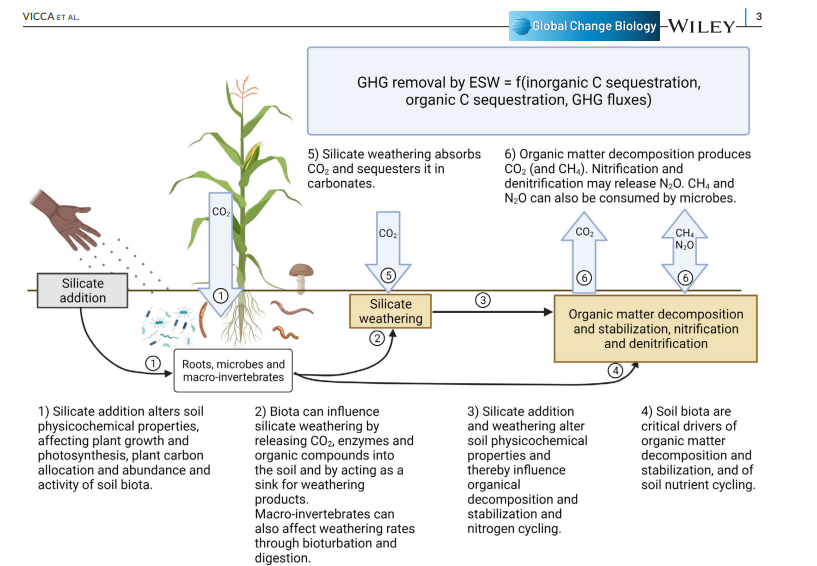 A chart graph of global change biology.