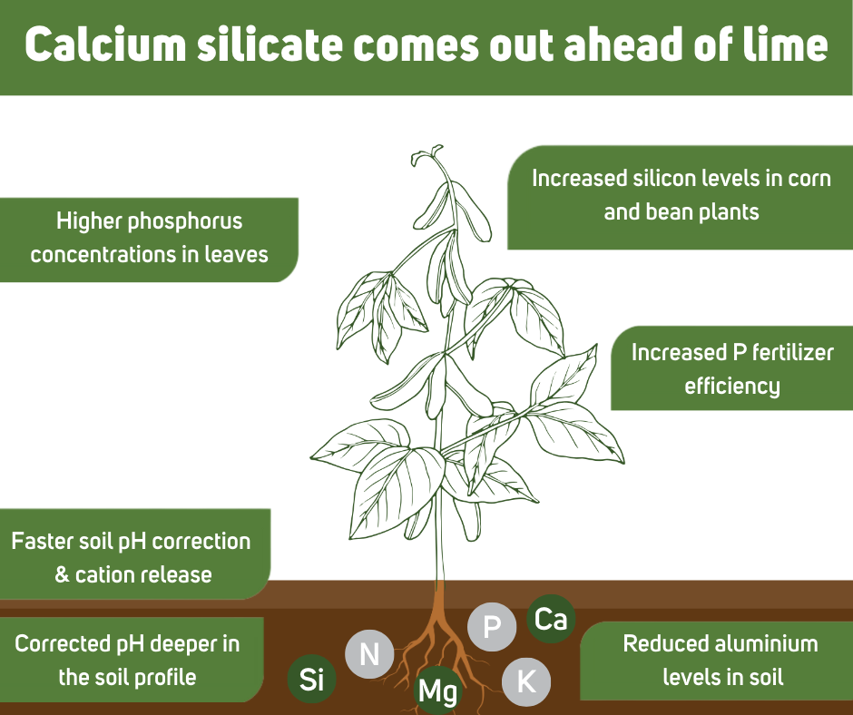 calcium silicate comes out ahead of lime.