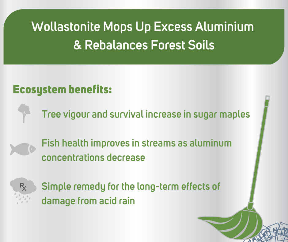 Wollastonite benefits forests, trees, and fish health.