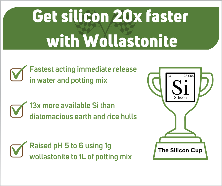 get silicon 20x faster