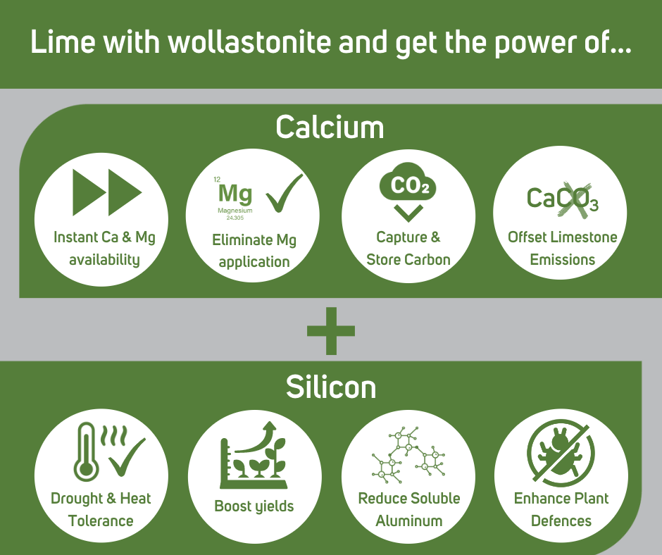 Lime with wollastonite and get the power.