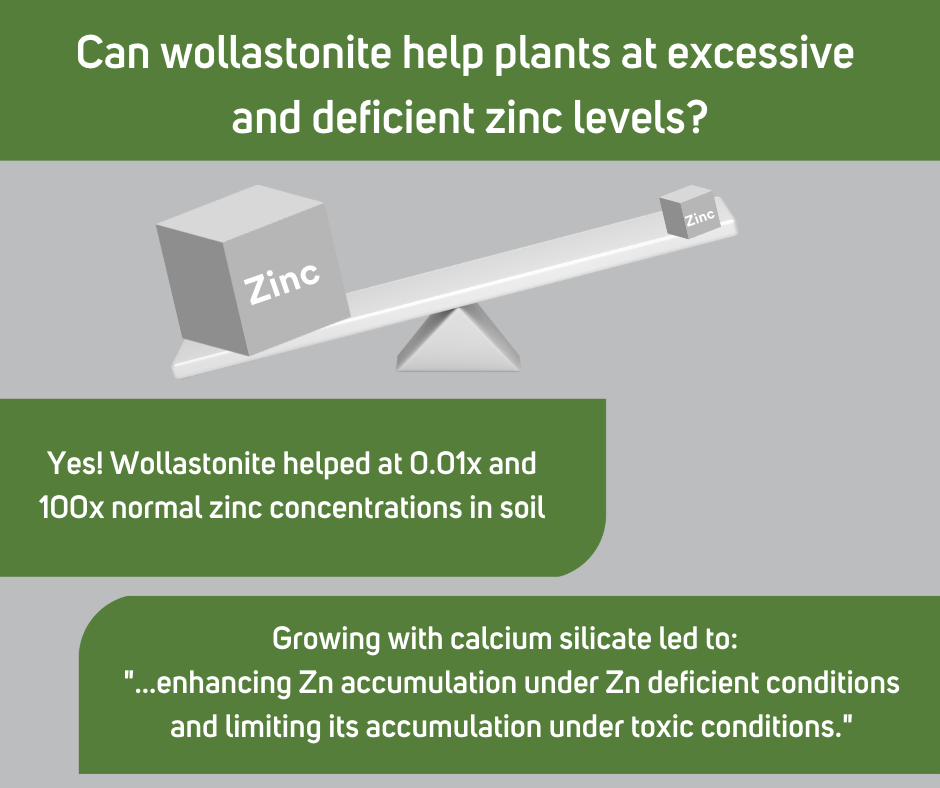 wollastonite help plants at excessive.