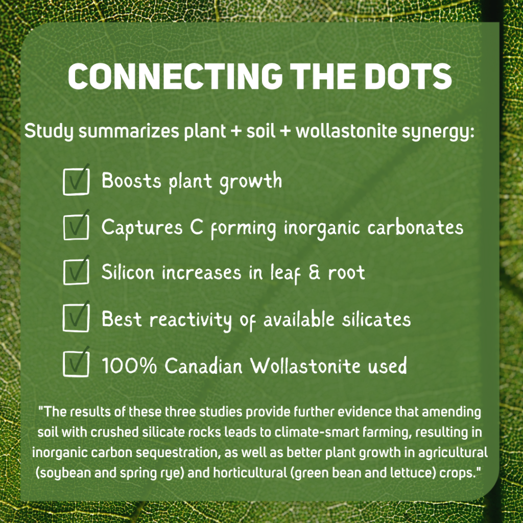 Connecting the dots