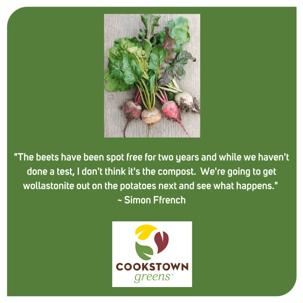 Cookstown green